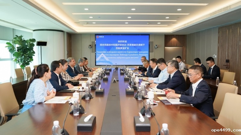 塔吉克斯坦副总理苏莱曼会见bv伟德国际体育1946董事长陈景河