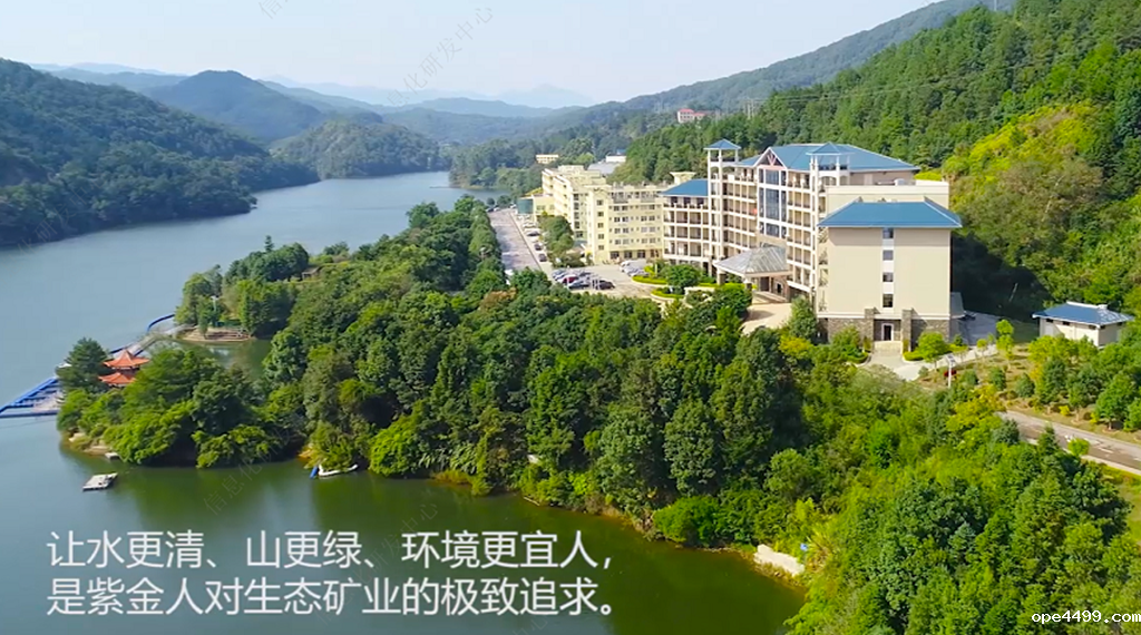 惊蛰时节植树忙