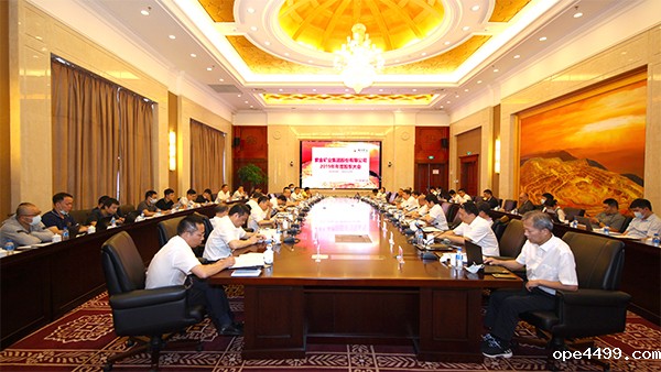 bv伟德国际体育1946召开2019年度股东大会