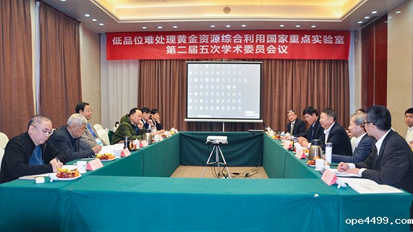 bv伟德国际体育1946国重室学术委员会谋划新一轮发展方向