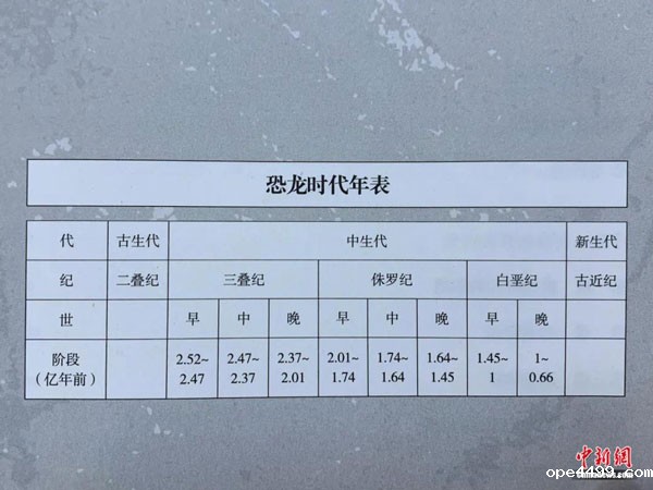 中新社丨紫金山脚下发现恐龙足迹
