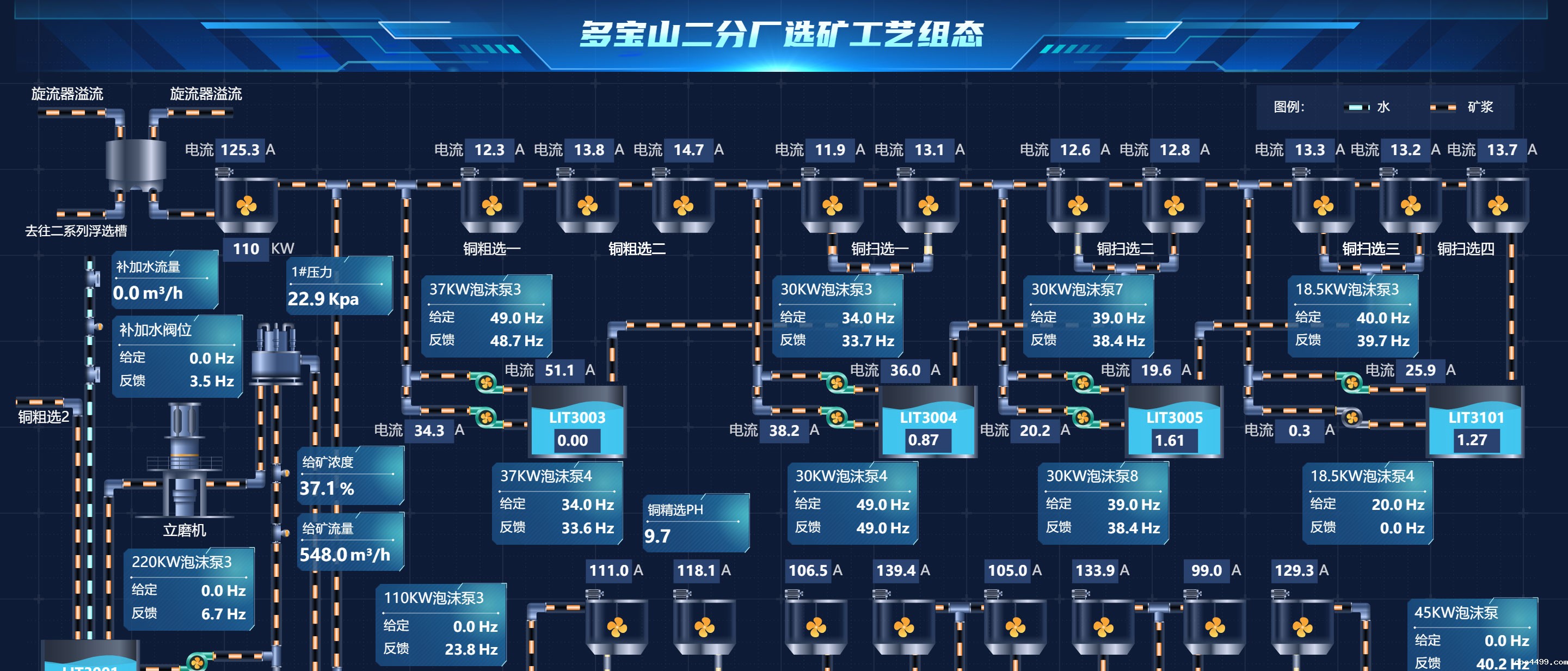 紫金智信