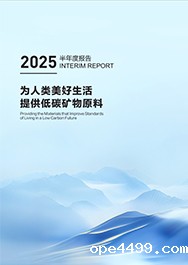 2025年半年度报告